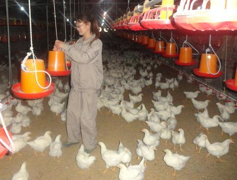 甘肃中盛农牧发展有限公司