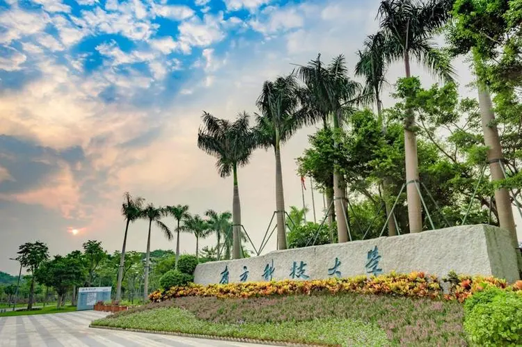 南方科技大学