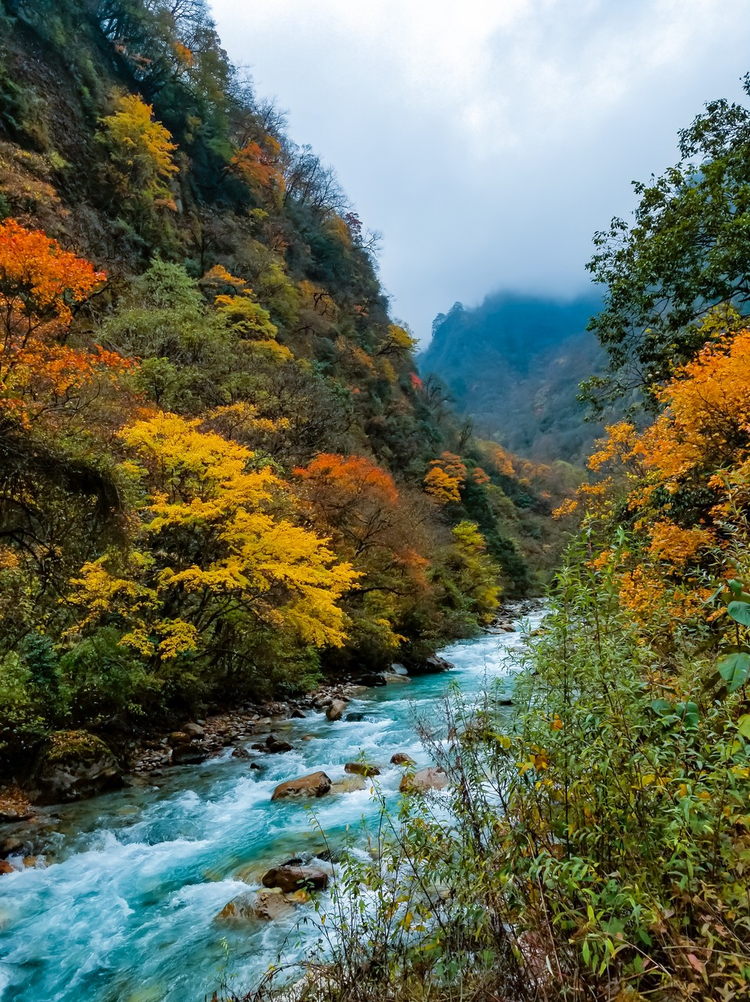 雅安市
