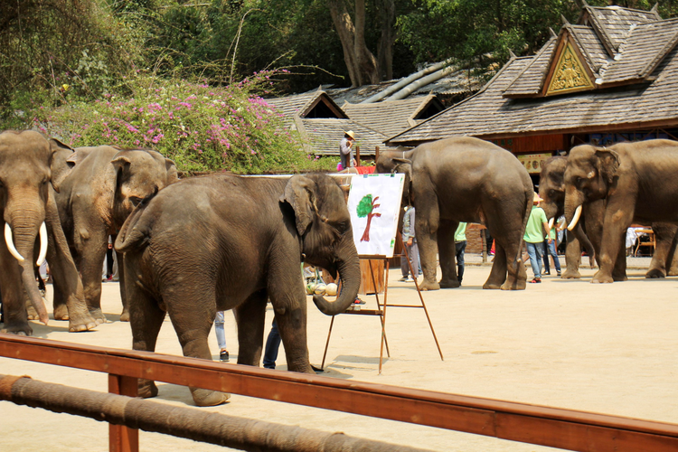 西双版纳傣族自治州