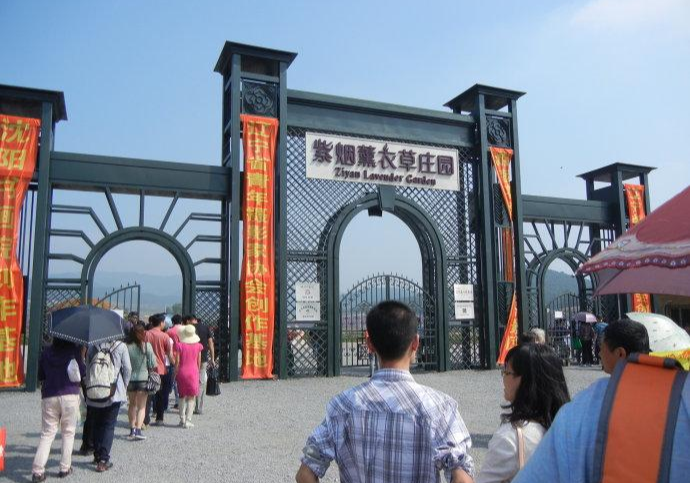沈阳熏衣草主题公园