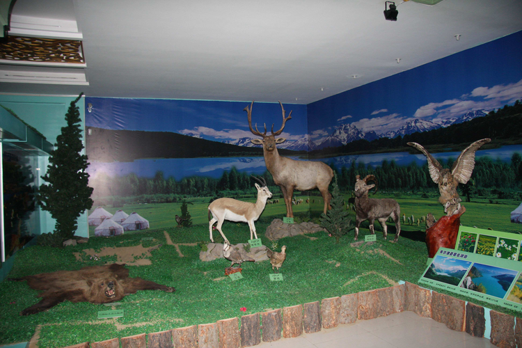 布尔津县博物馆