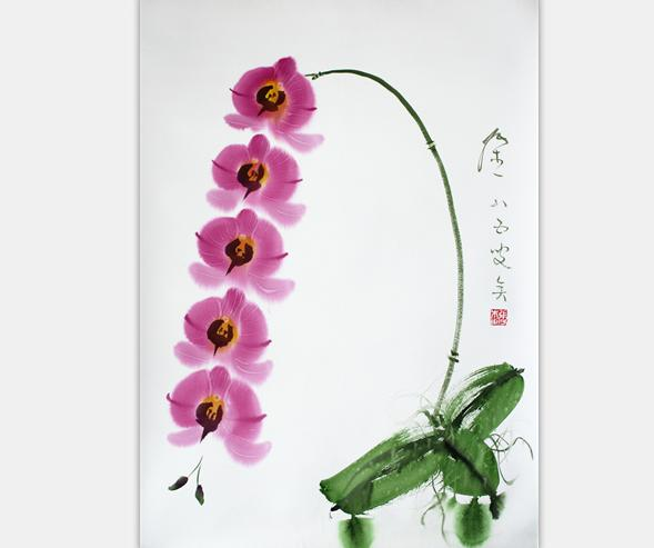 张杰：蝴蝶兰  54.5*78.5cm
