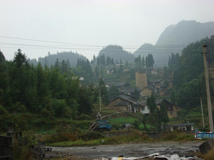 桂花村