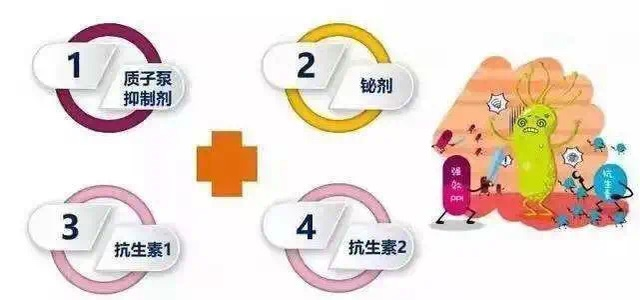 幽门螺杆菌