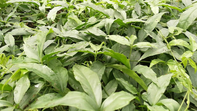 玉山县