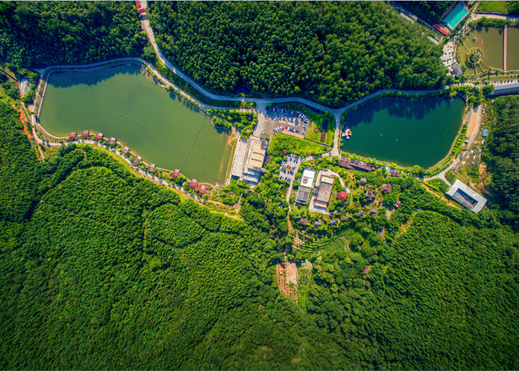 沙县区