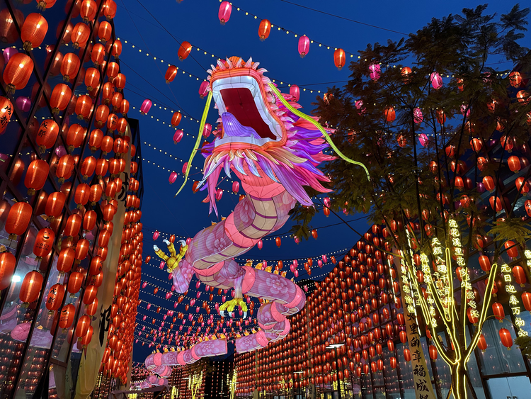 第53届成都国际熊猫灯会