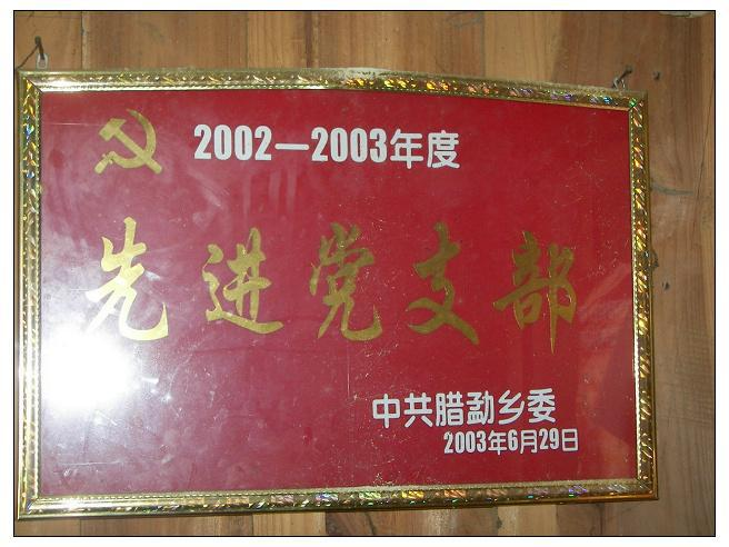 基层组织
