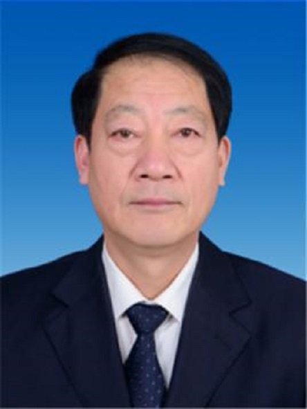 陈洪波