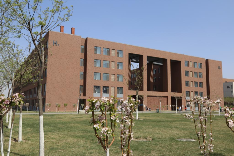 天津中德应用技术大学