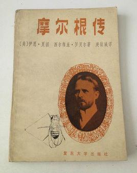 摩尔根