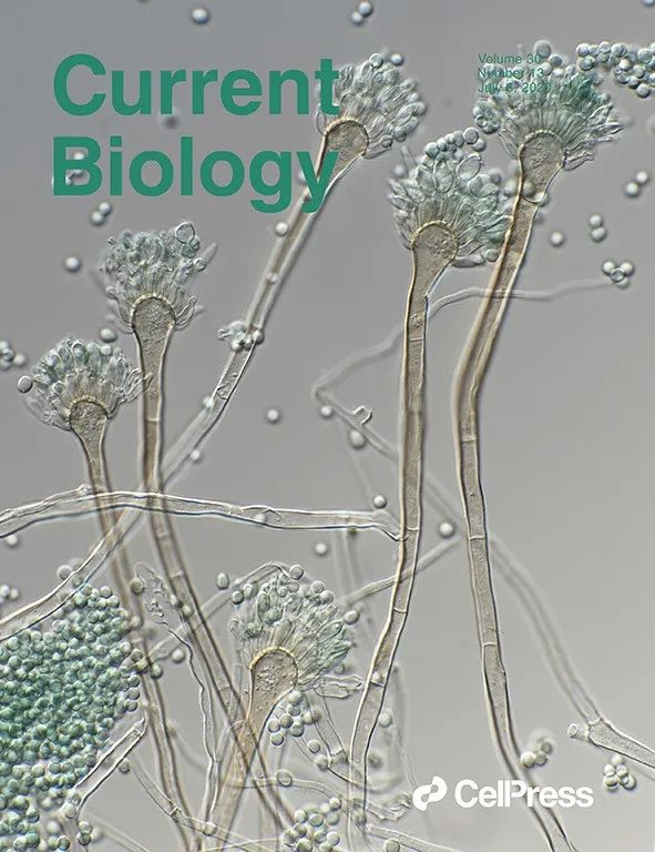 当代生物学期刊