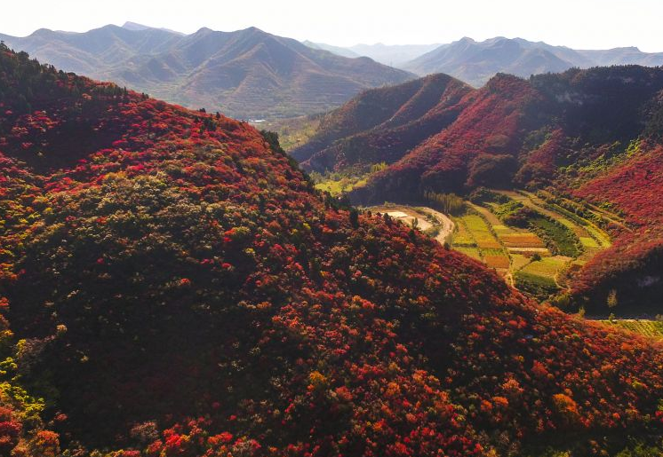 凤凰山