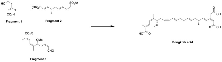 Bongkrek_Acid_overall_scheme.jpeg