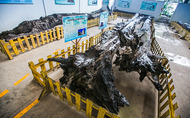 广东观音山国家森林公园