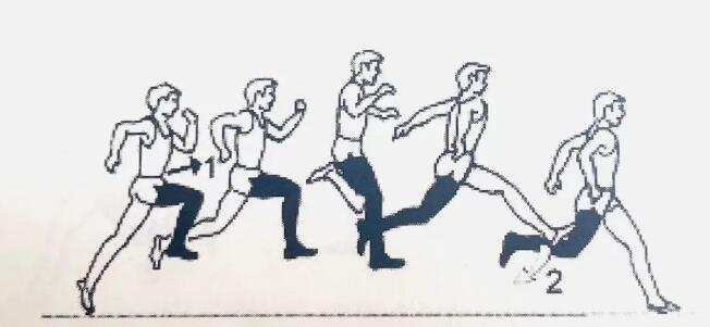 跨步跳.jpeg