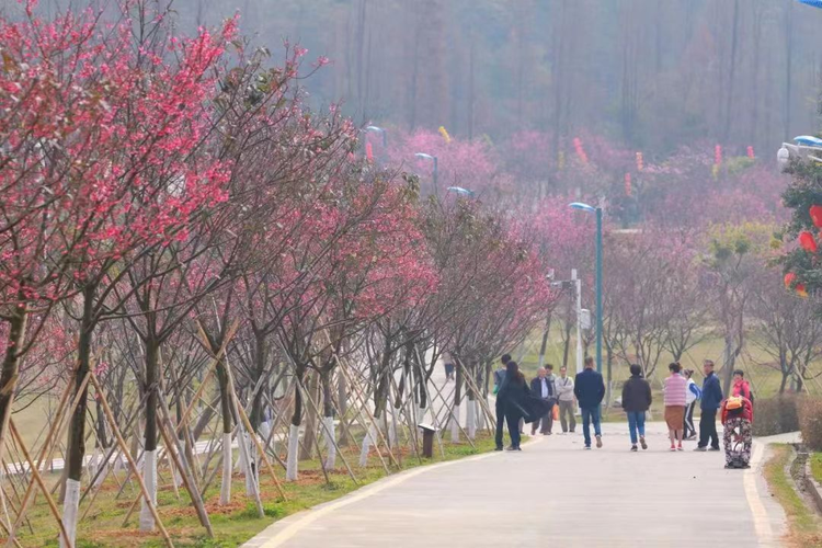 绿护桃源景区.jpg
