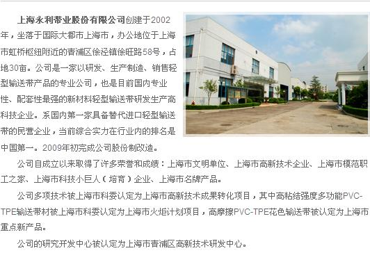 上海永利带业股份有限公司