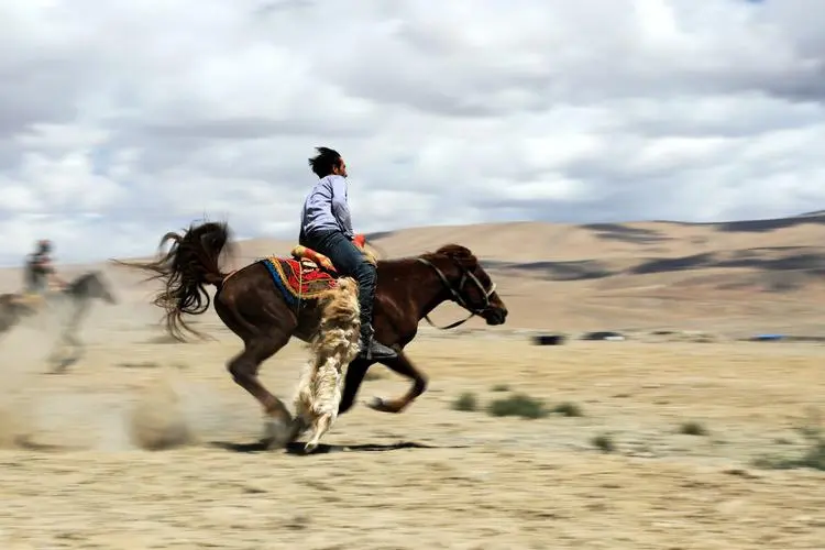 新疆维吾尔自治区
