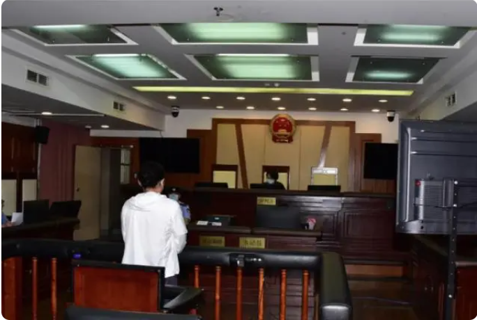 女子碰瓷14家餐厅被判刑事件