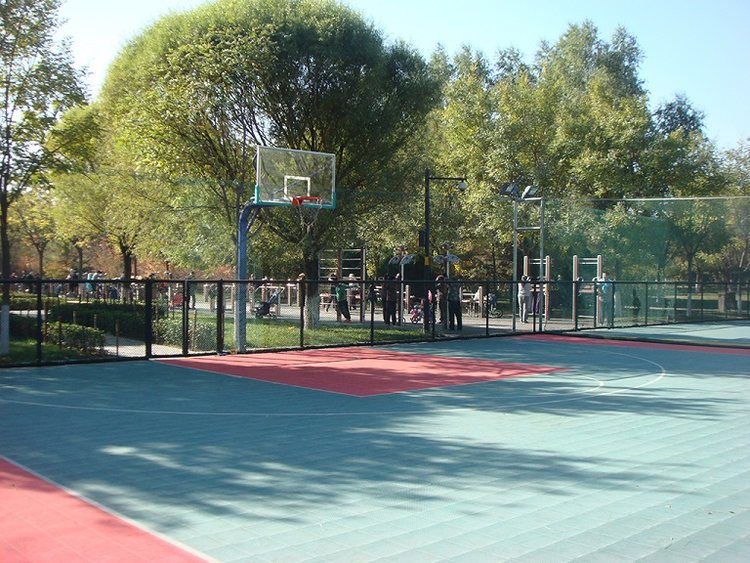 奥林匹克森林公园