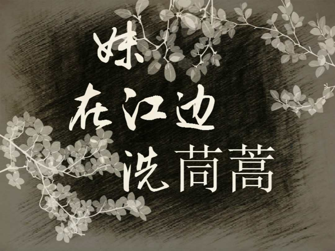 妹在江边洗茼蒿
