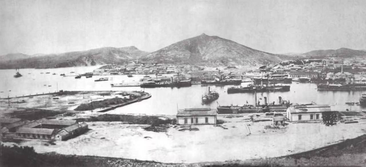 1891年停泊在旅顺东港内的北洋海军舰队.jpeg