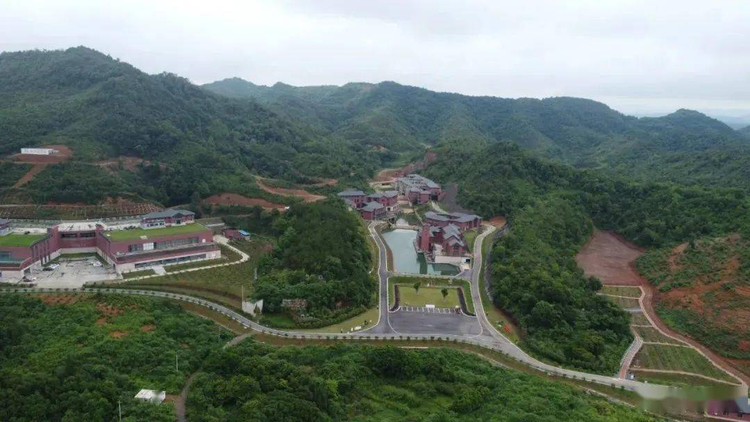 庐山茶花谷景区.jpeg