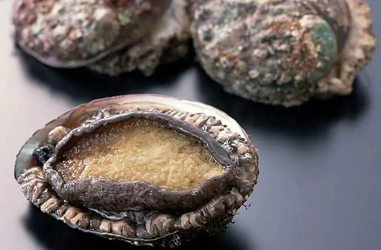 长岛海洋生态文明综合试验区