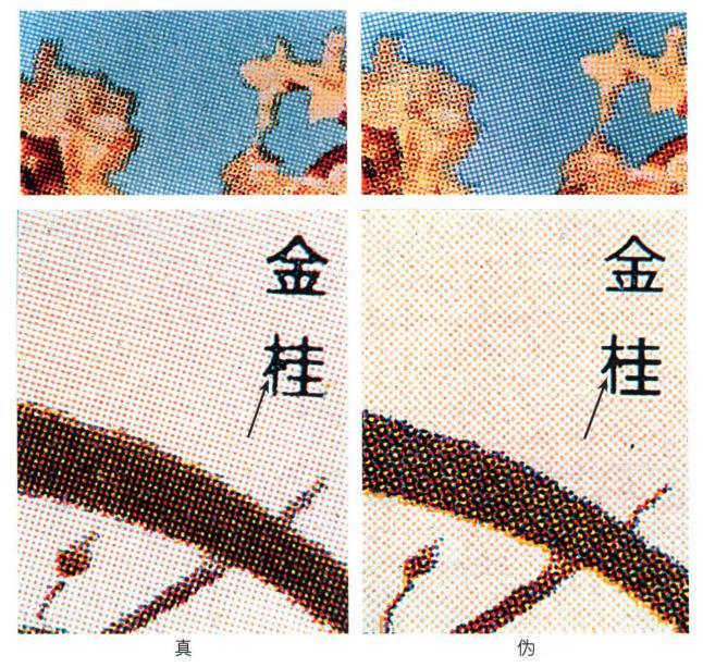 桂花
