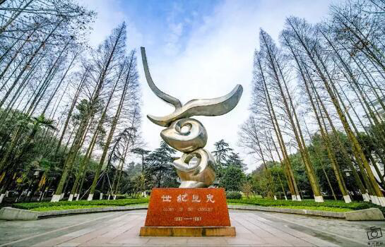 浙江大学
