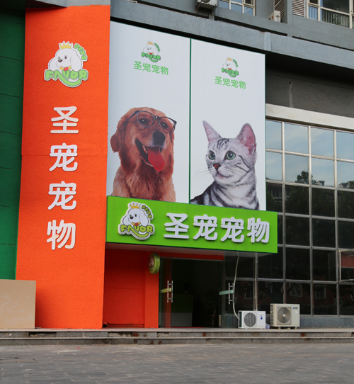 圣宠宠物美容学校