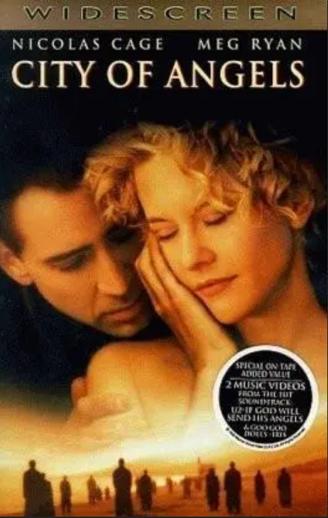 威廉·斯坦福德·戴维斯