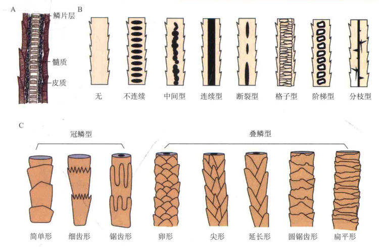 粘贴图片1-1694526637544.png