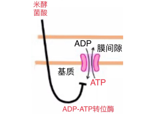 QQ浏览器截图20230803144609.png