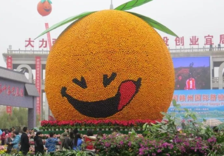 赣南脐橙