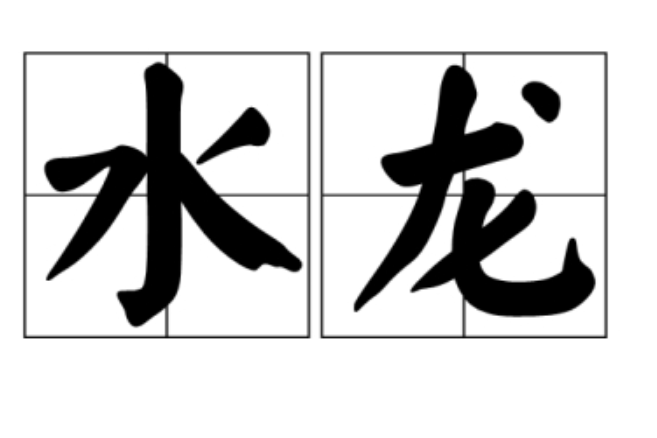 水龙