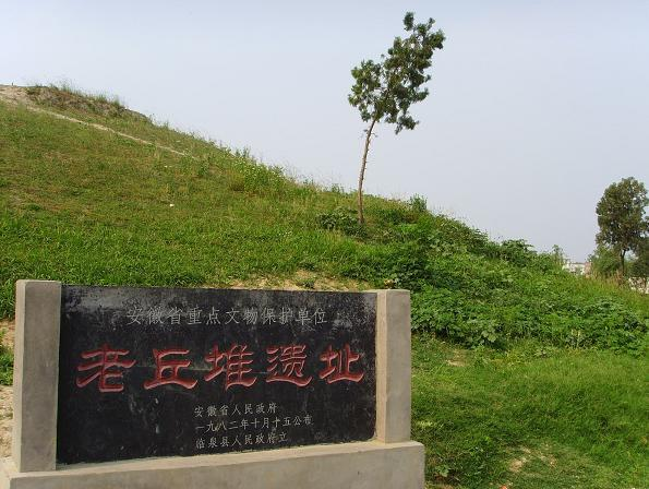 临泉县
