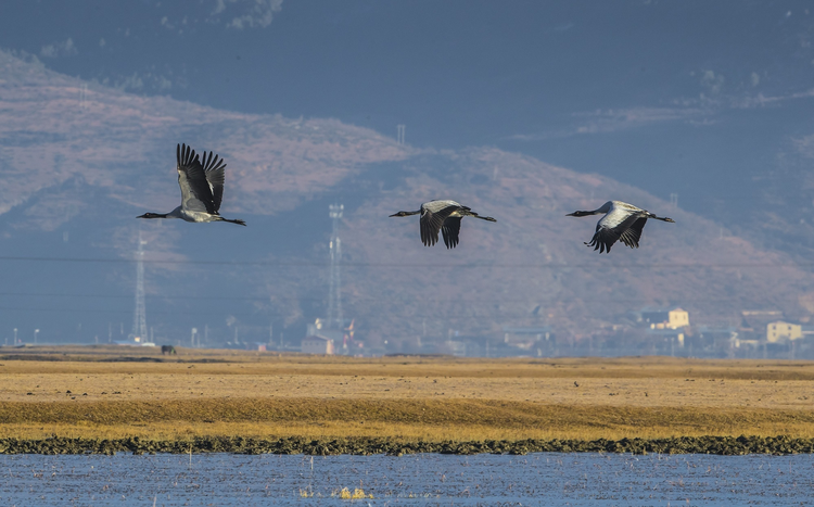 迪庆藏族自治州