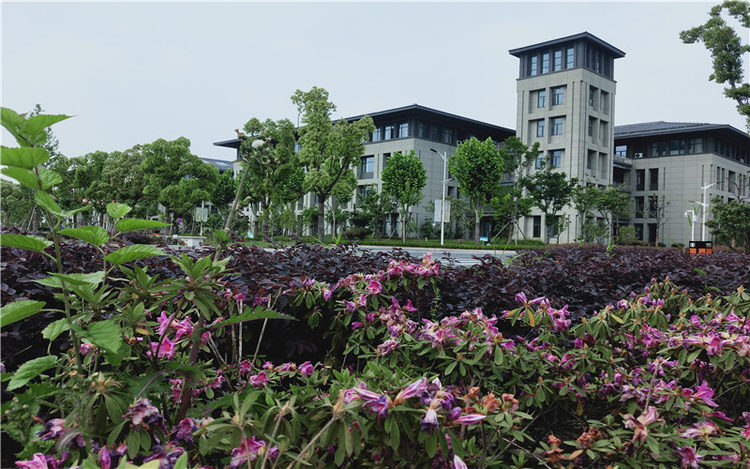 南京师范大学中北学院