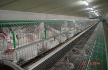 青岛康大食品有限公司