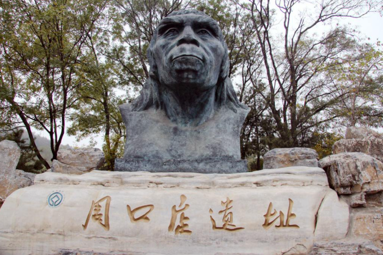 北京人
