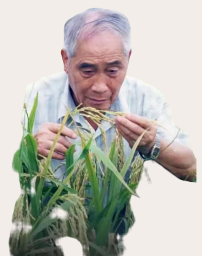周开达