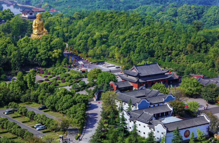 九龙坡区