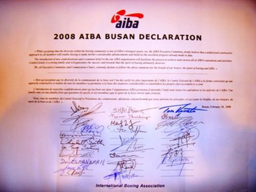 国际业余拳击联合会