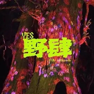 2024年南昌银河左岸音乐节