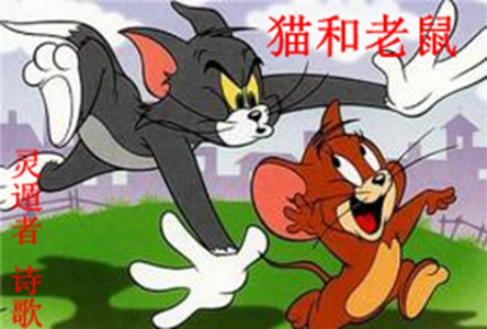 猫和老鼠