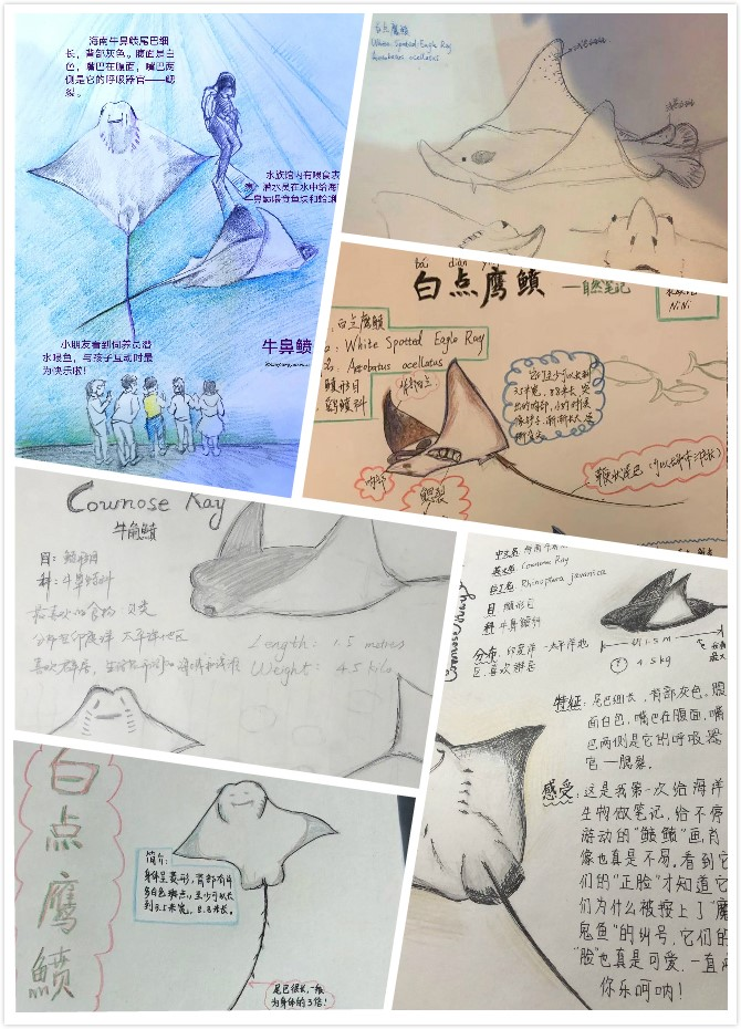 上海海洋水族馆