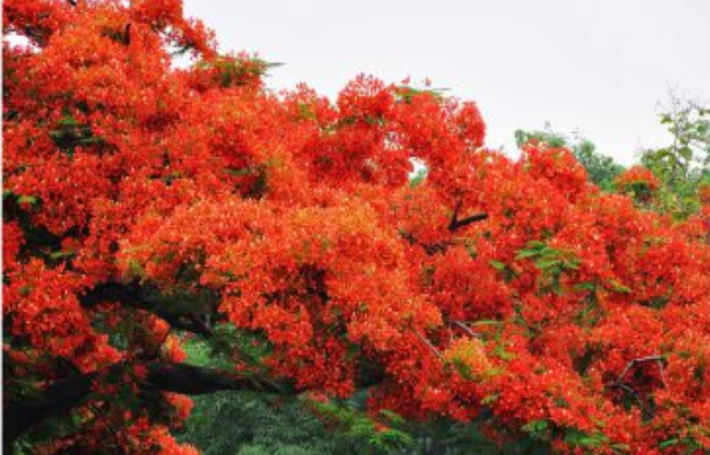 红河哈尼族彝族自治州